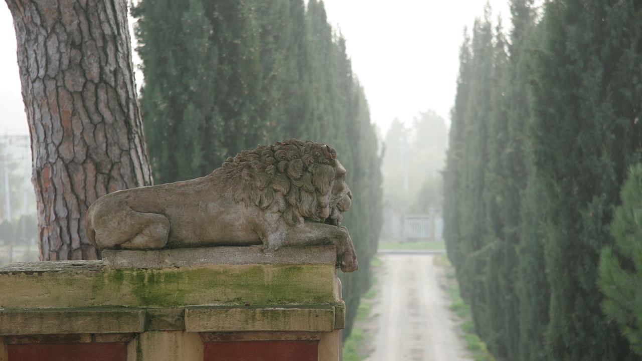 Photo of Outdoor in Giovi-Ponte Alla Chiassa