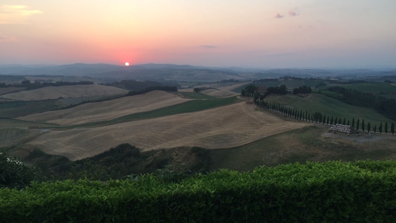 Photo of Others in Montalcino