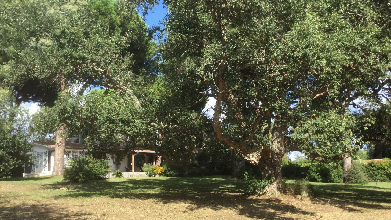 Photo of Outdoor in Sabaudia