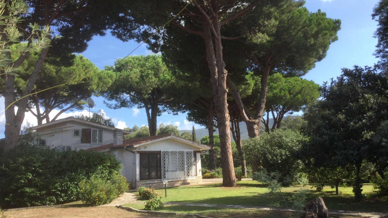 Photo of Outdoor in Sabaudia