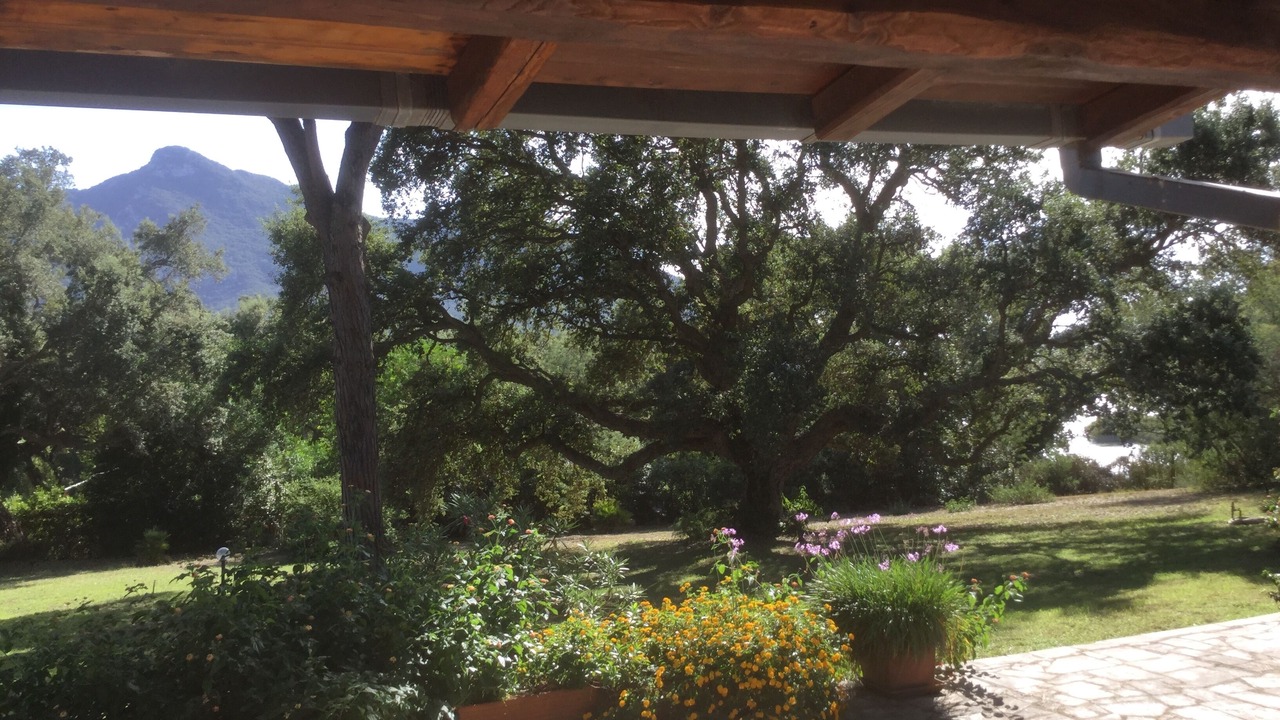 Photo of Outdoor in Sabaudia