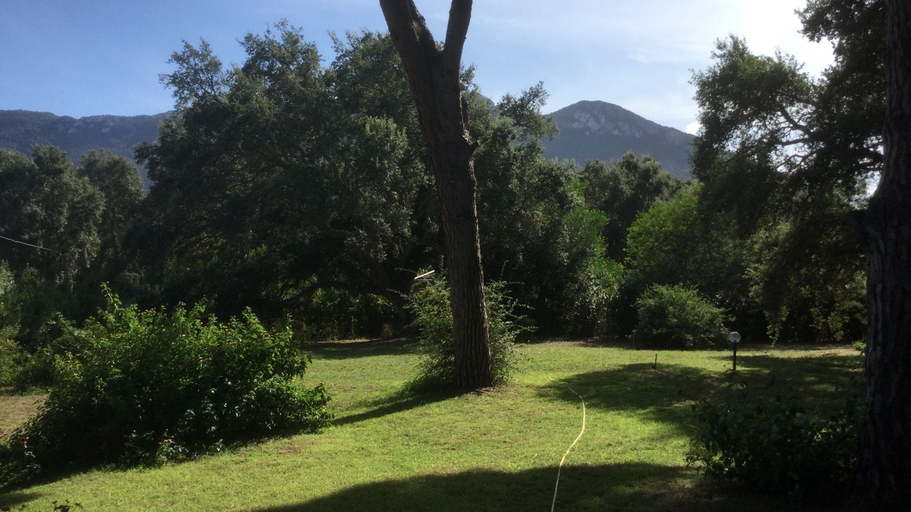 Photo of Outdoor in Sabaudia
