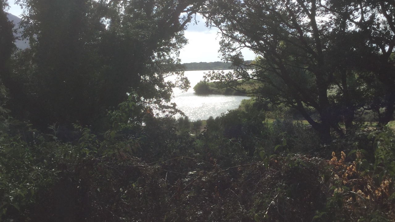 Photo of Outdoor in Sabaudia