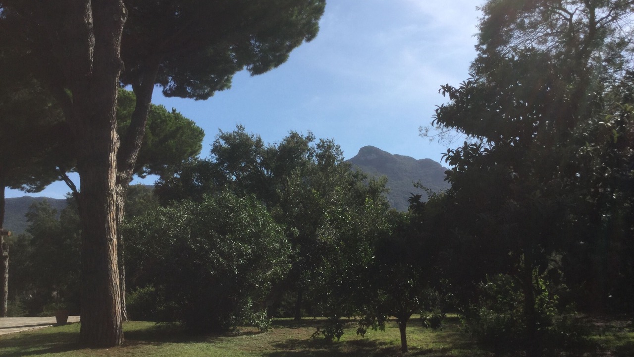 Photo of Outdoor in Sabaudia