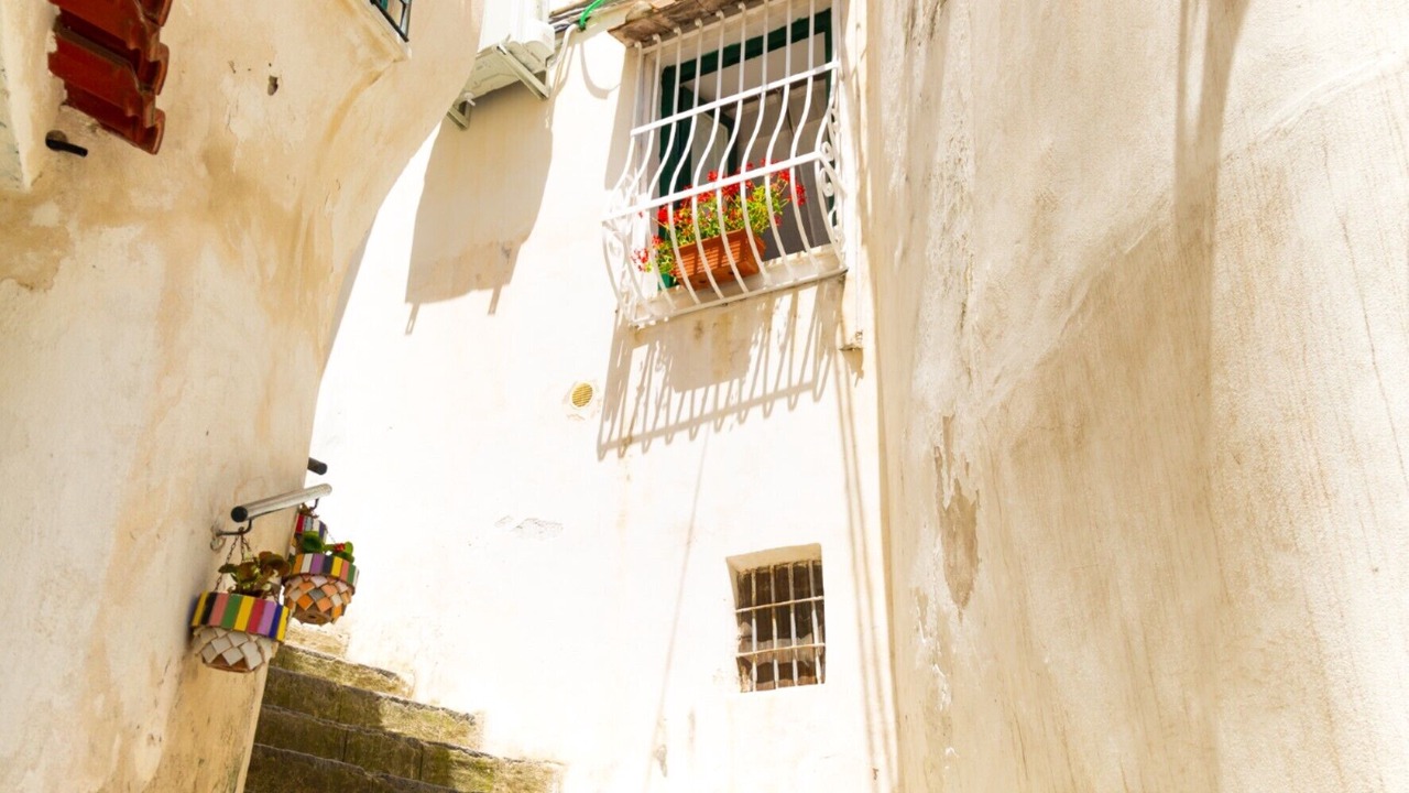 Photo of Outdoor in Raito