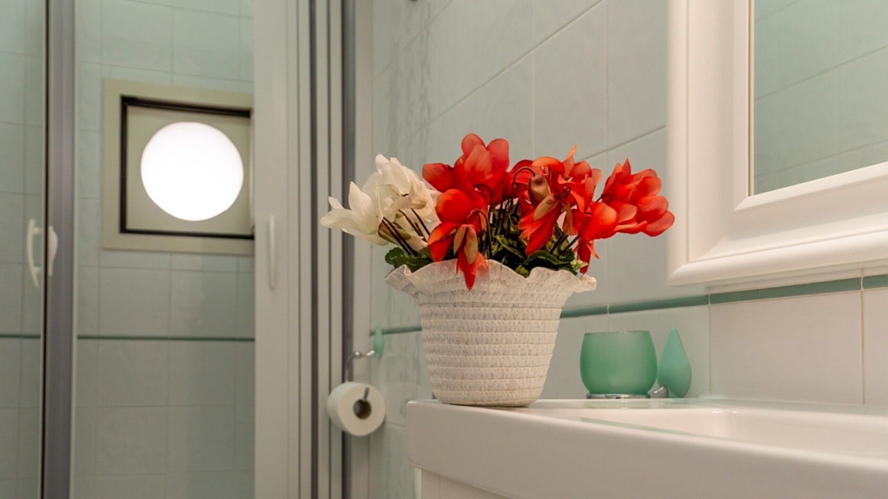 Photo of Bathroom in Raito