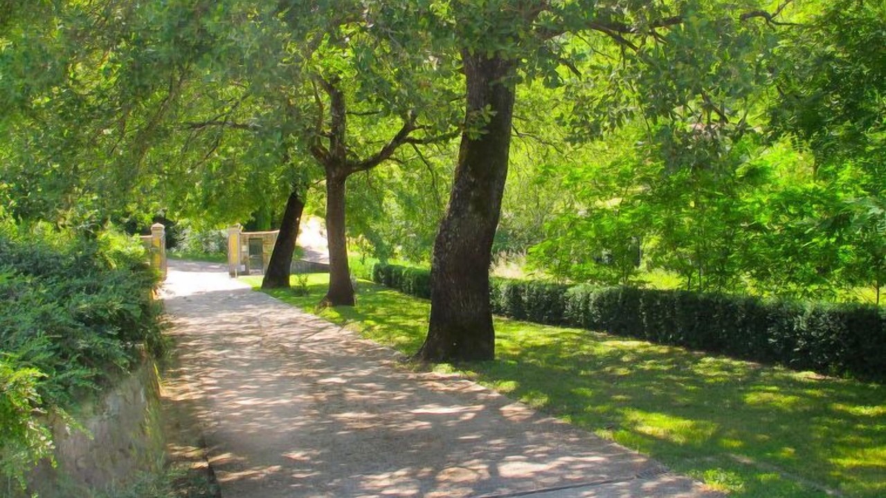 Photo of Others in San Giovanni Valdarno
