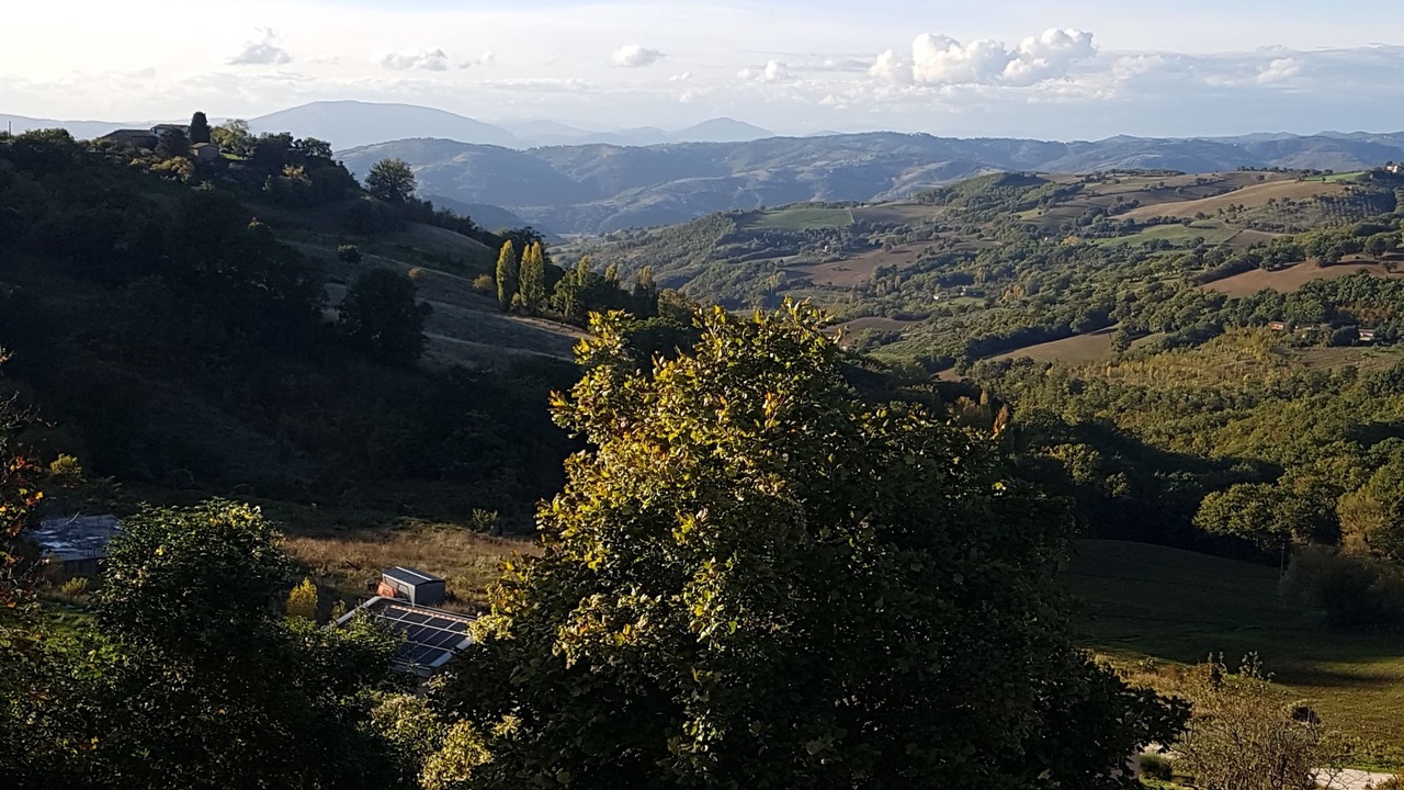 Photo of Outdoor in San Presto