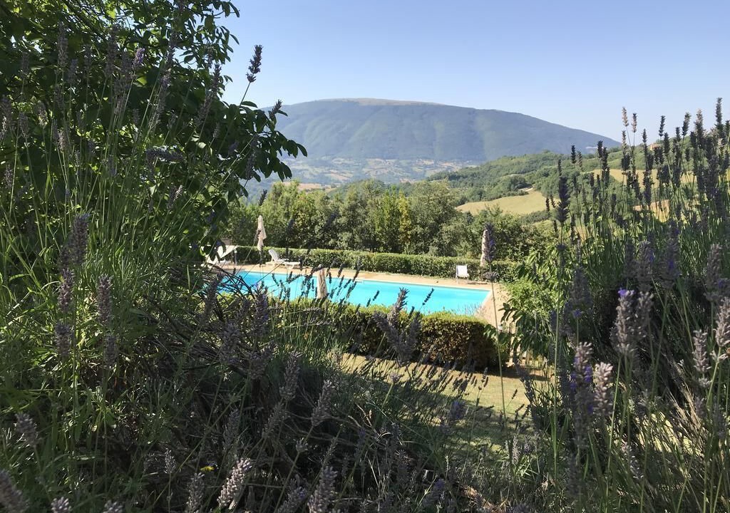 Photo of Outdoor in San Presto