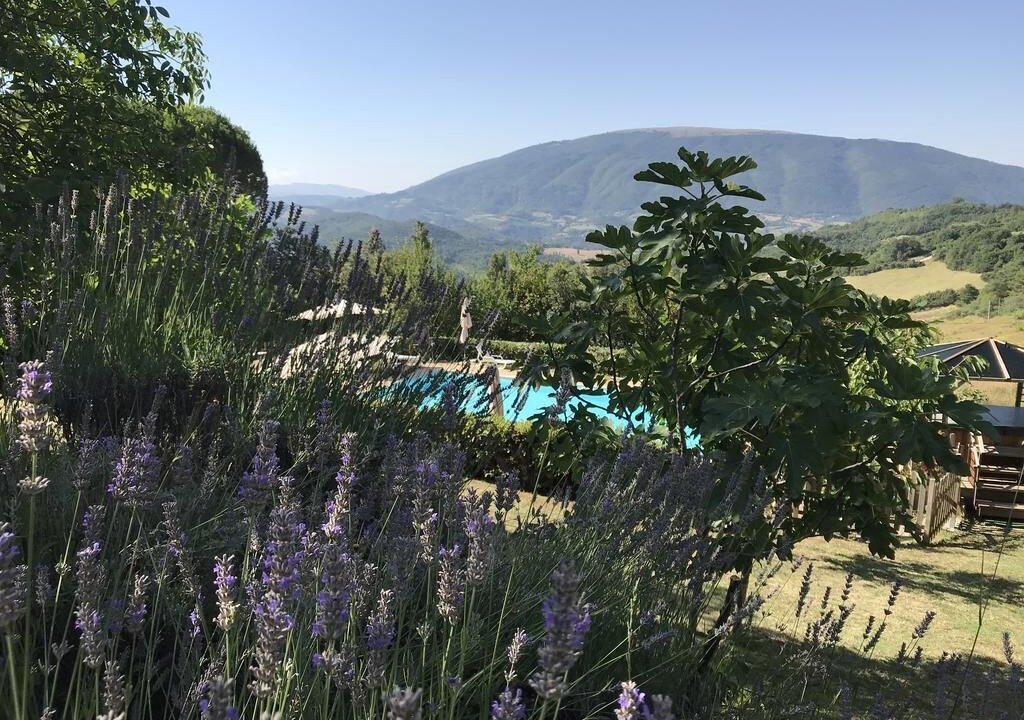Photo of Outdoor in San Presto