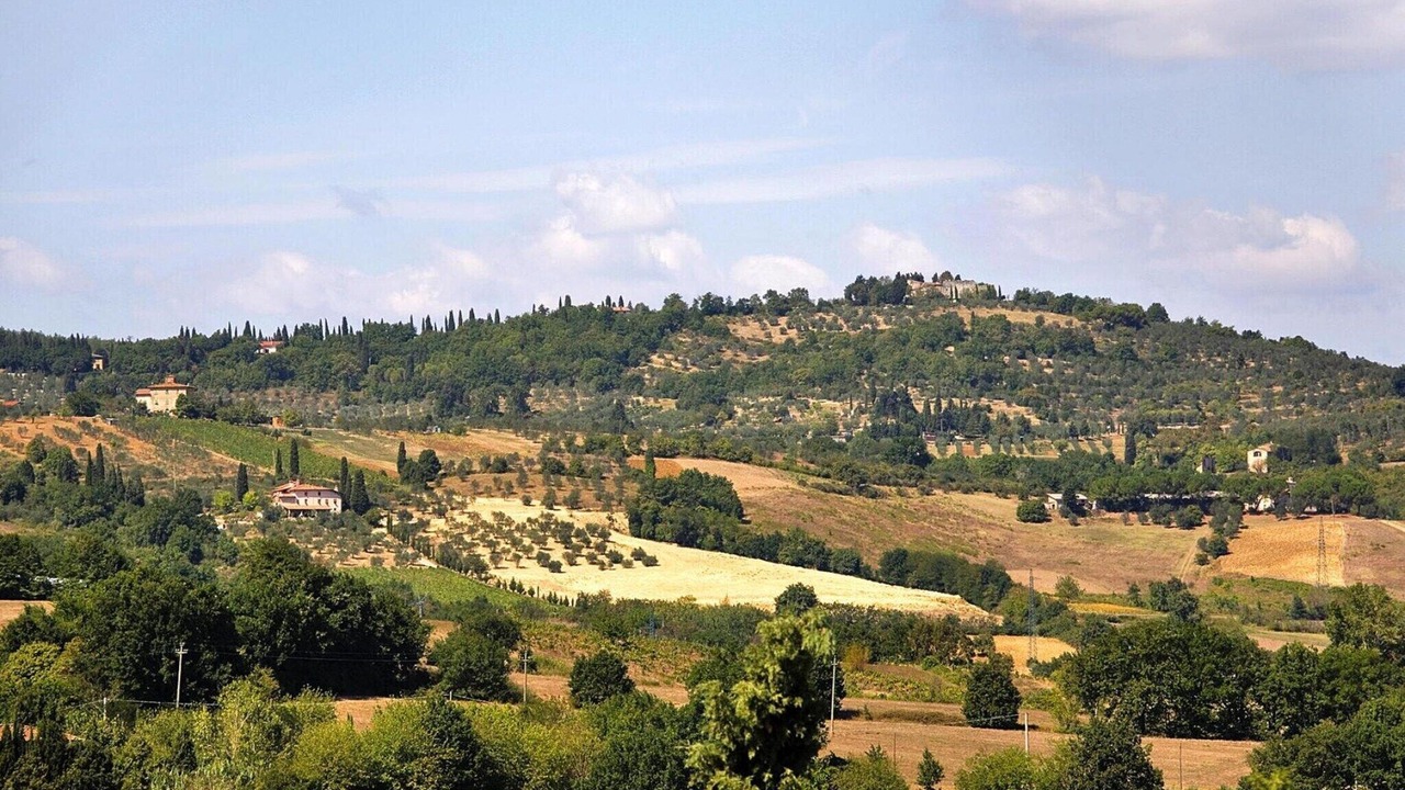 Photo of Others in SantʼEllero
