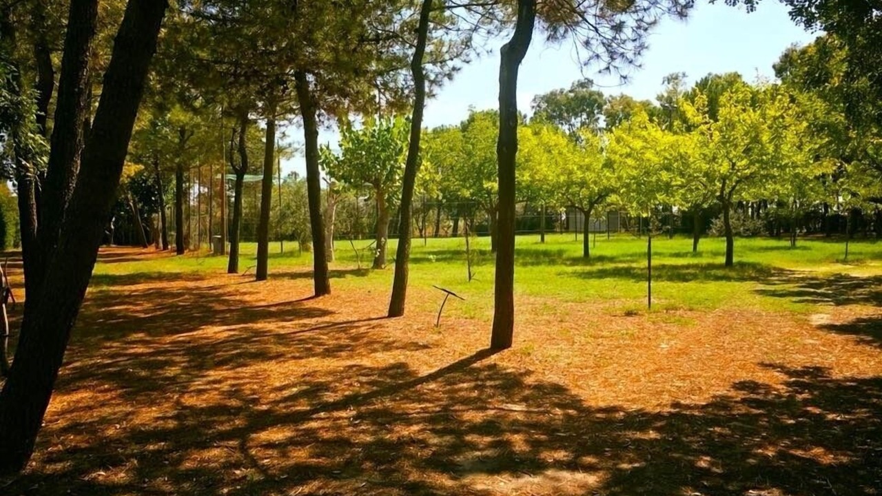 Photo of Outdoor in Caulonia