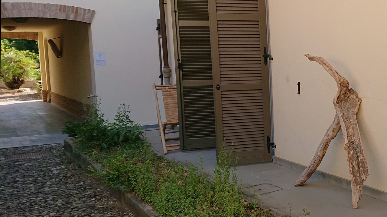 Photo of Others in Forli