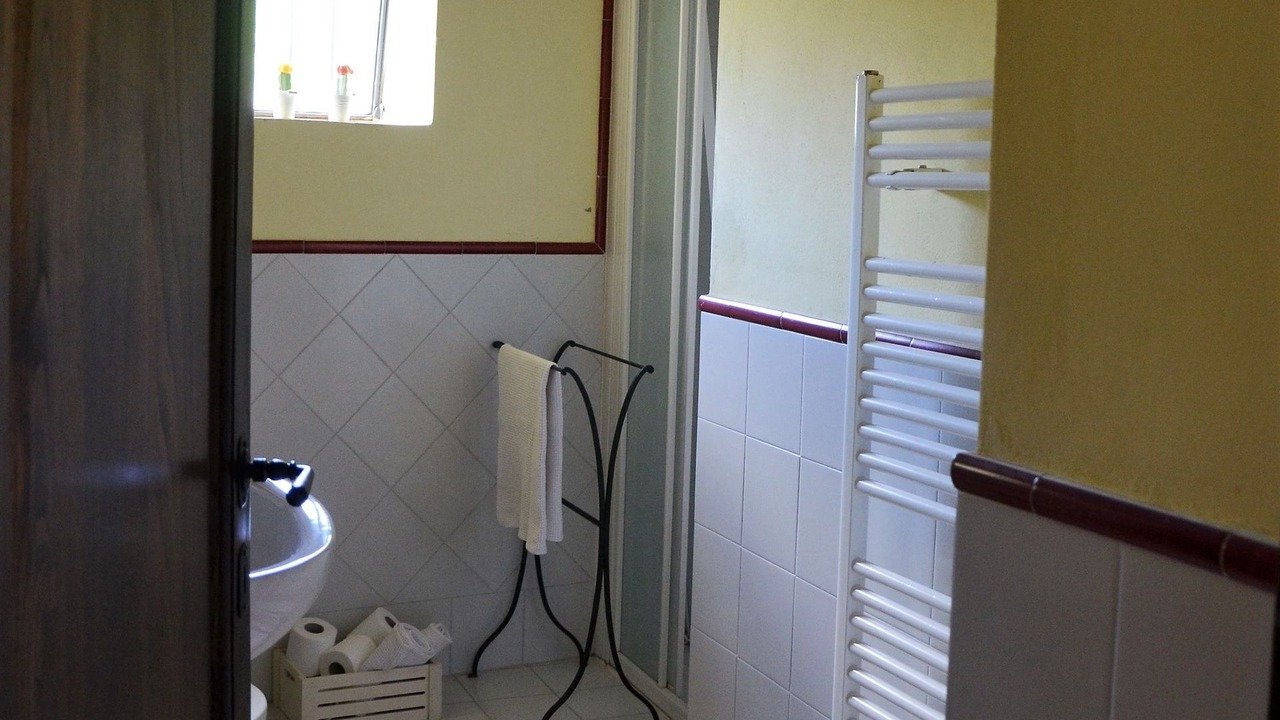 Photo of Bathroom in Capolona