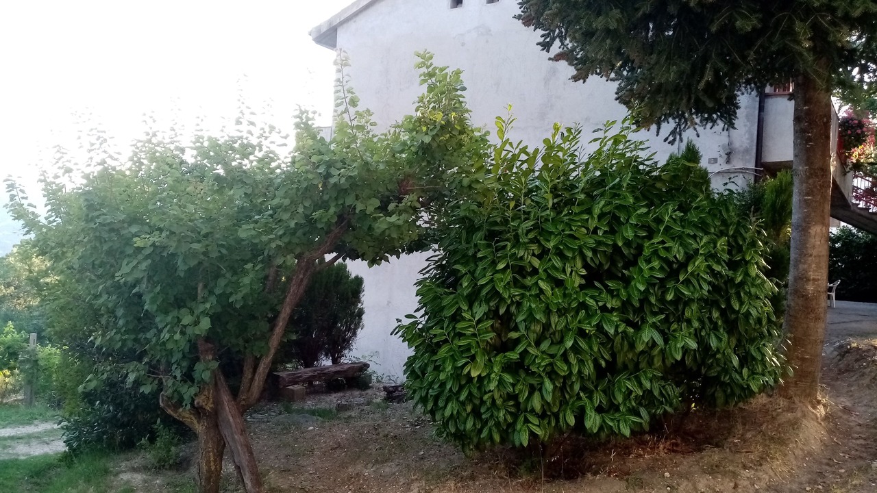 Photo of Outdoor in Guardiabruna