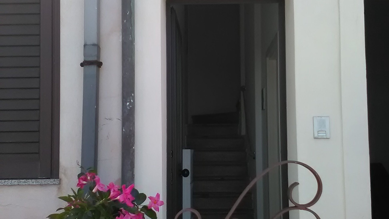 Photo of Outdoor in Scilla