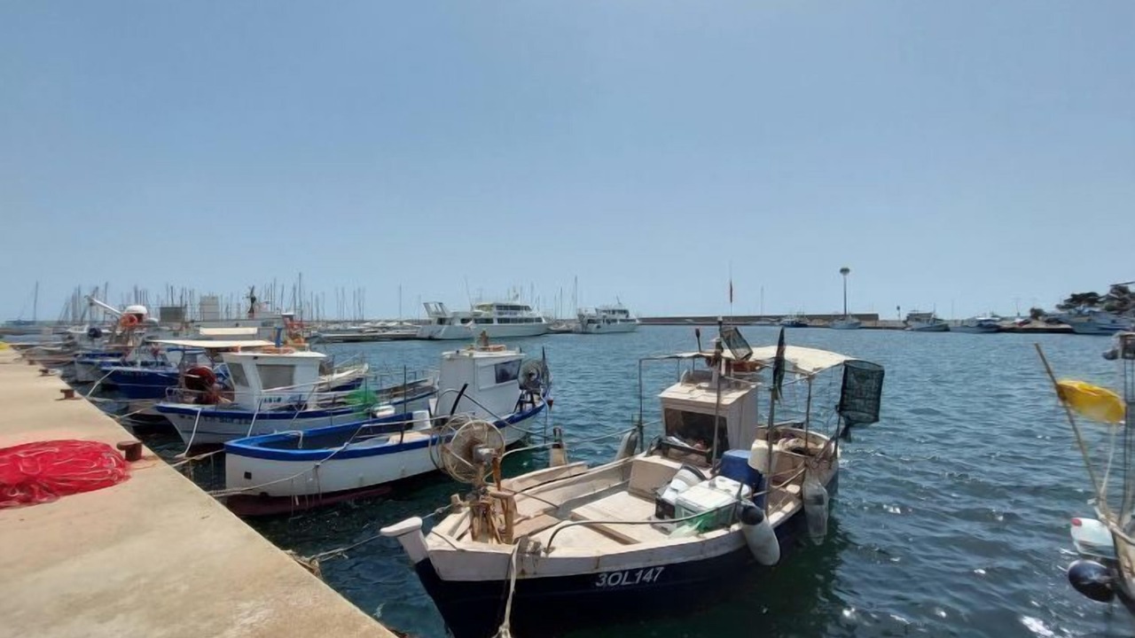 Photo of Others in La Caletta