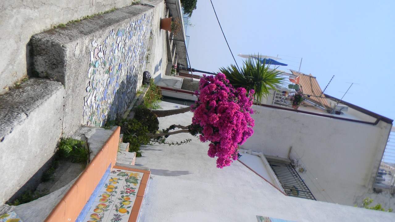 Photo of Outdoor in Raito
