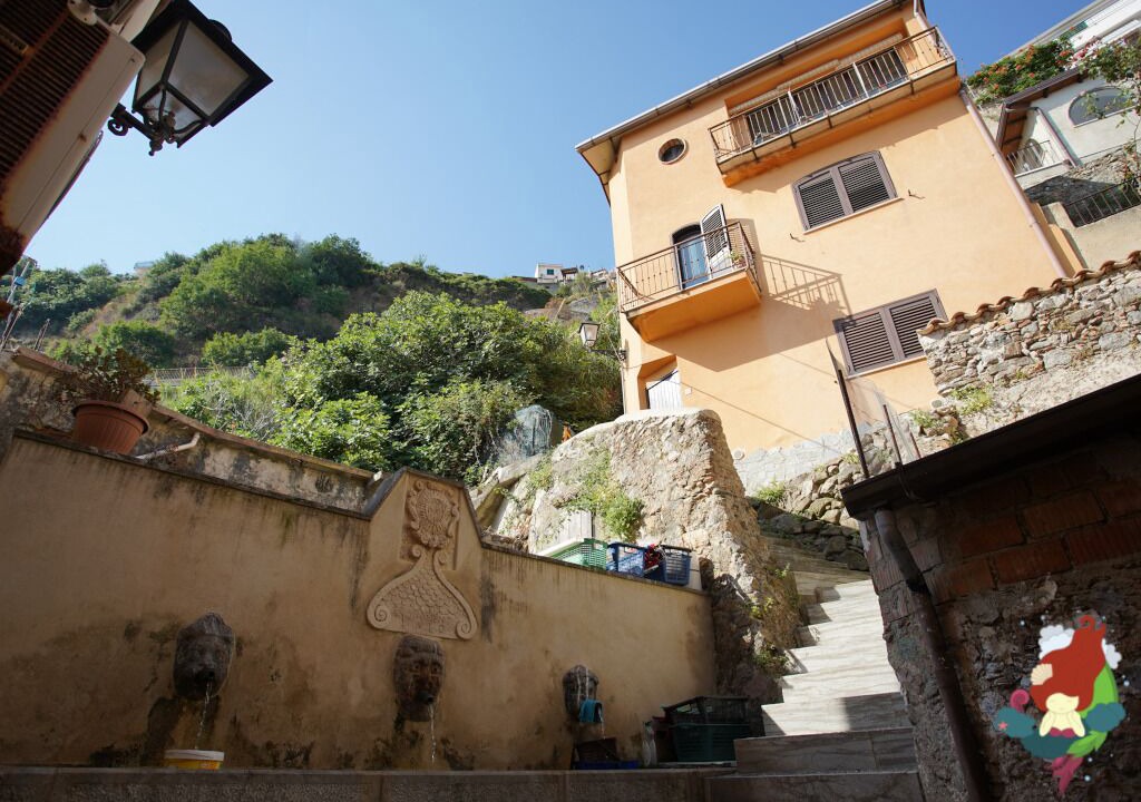 Photo of Outdoor in Scilla