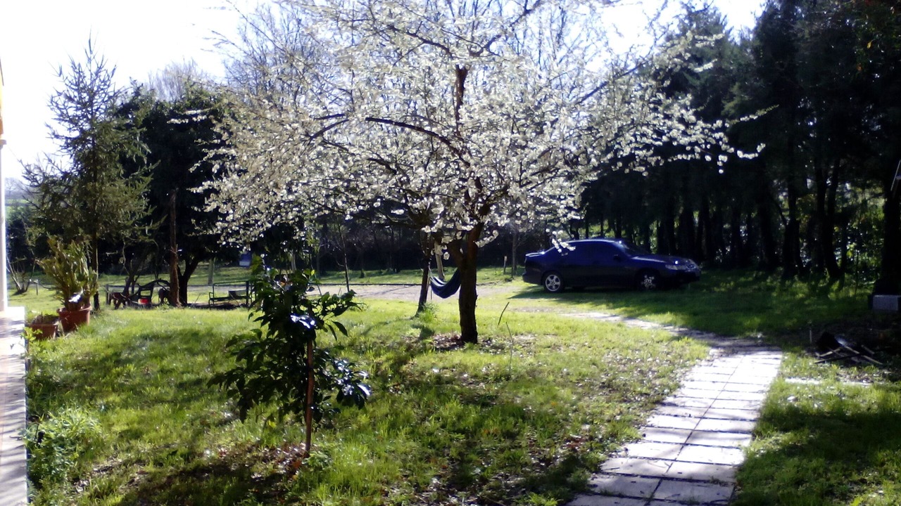 Photo of Outdoor in Pontelatone