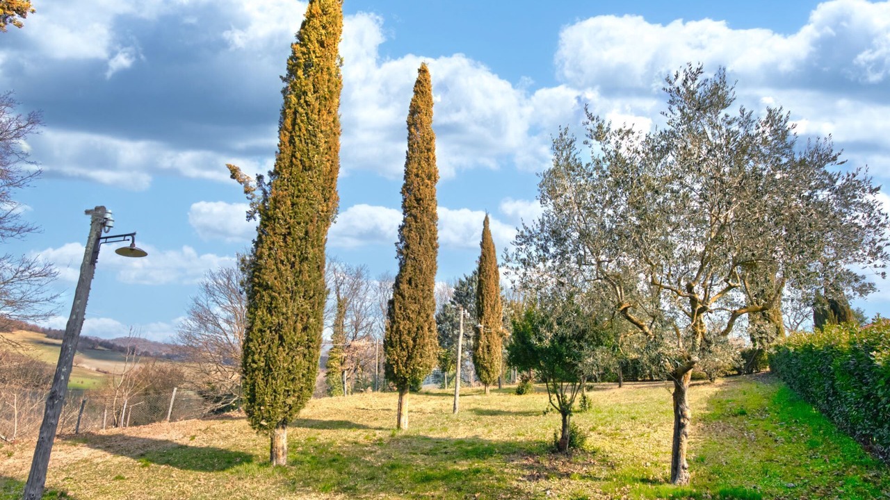 Photo of Outdoor in Montalcinello
