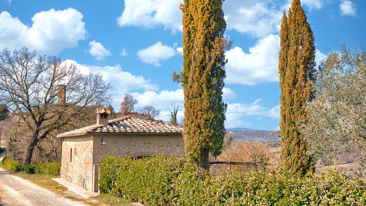 Photo of Others in Montalcinello