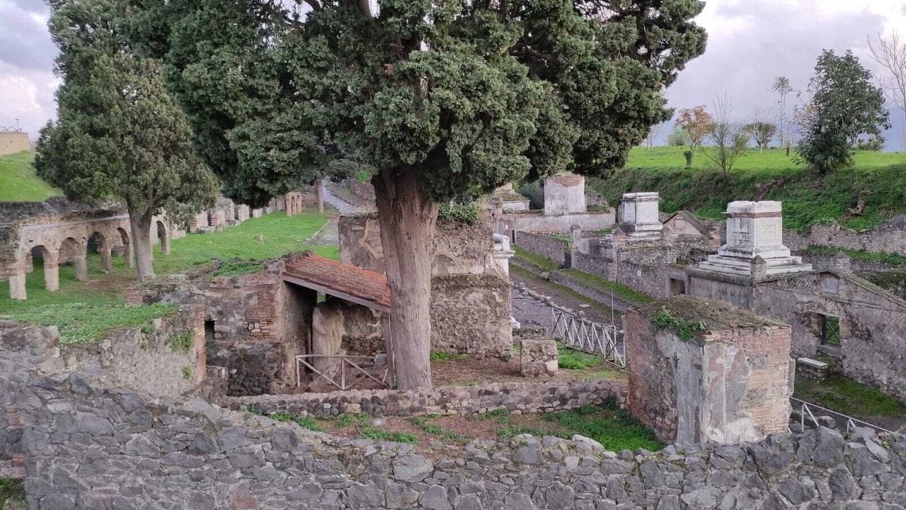 Photo of Others in Pompei