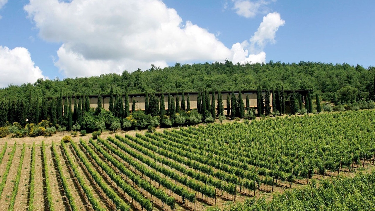Photo of Outdoor in Radda in Chianti