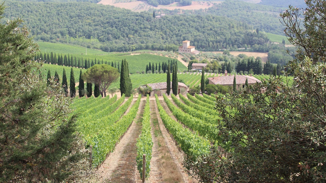 Photo of Outdoor in Radda in Chianti