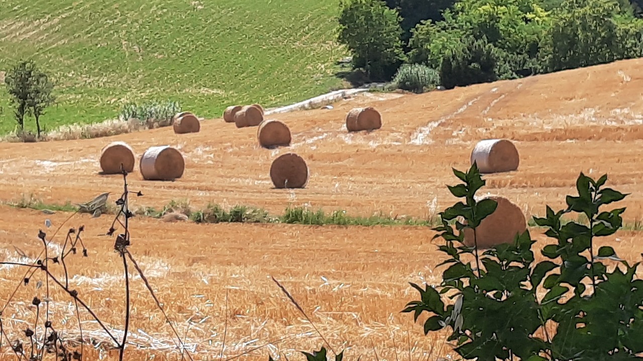 Photo of Outdoor in Poggio Mirteto