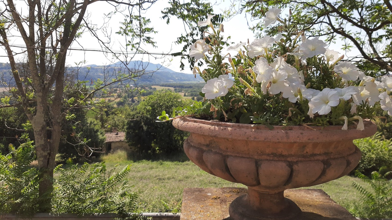 Photo of Outdoor in Poggio Mirteto