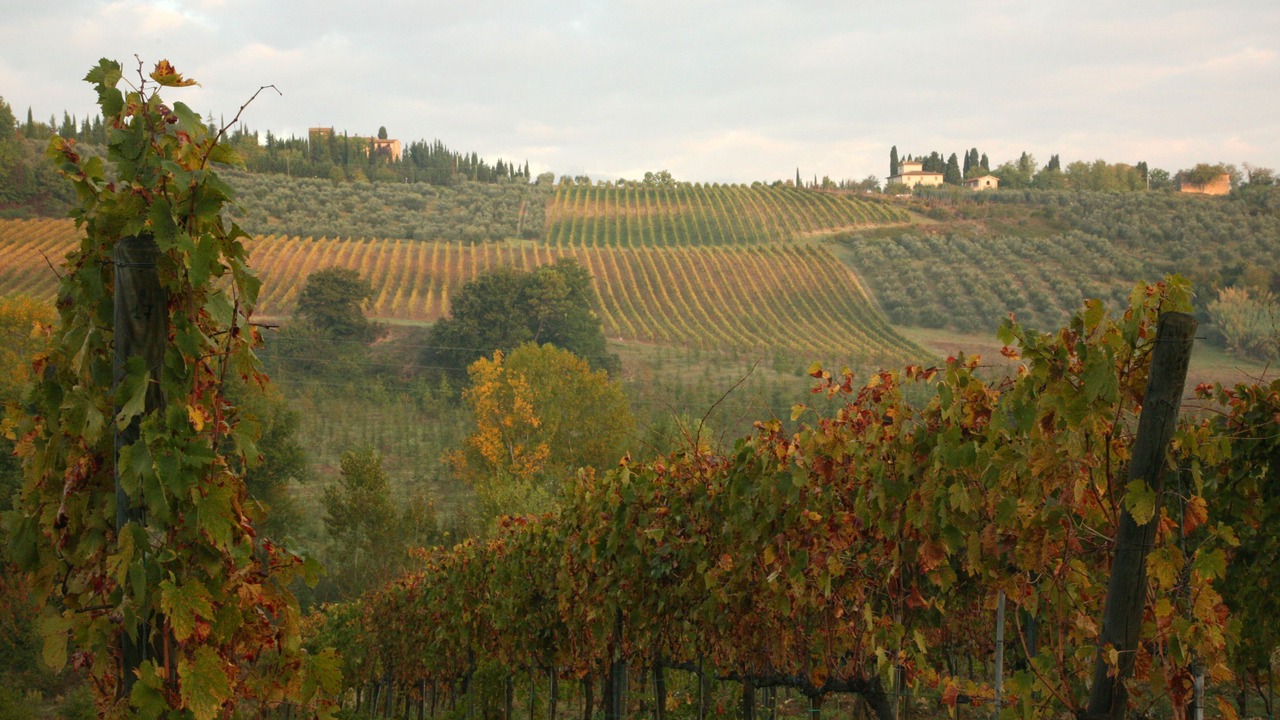 Photo of Outdoor in San Pietro in Bossolo