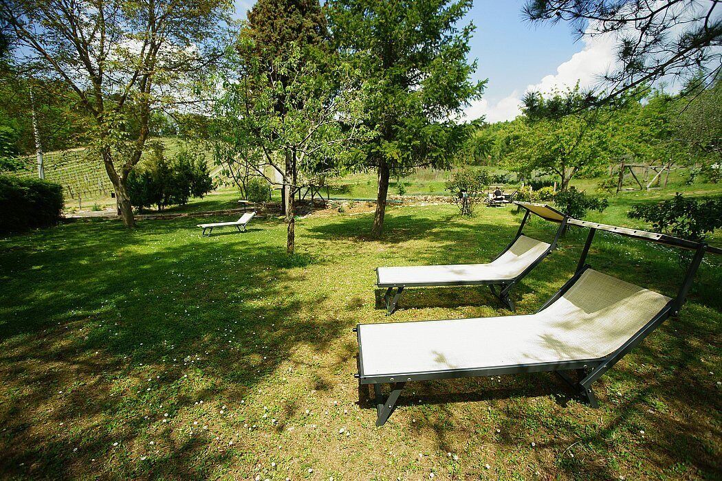 Photo of Outdoor in Pontassieve
