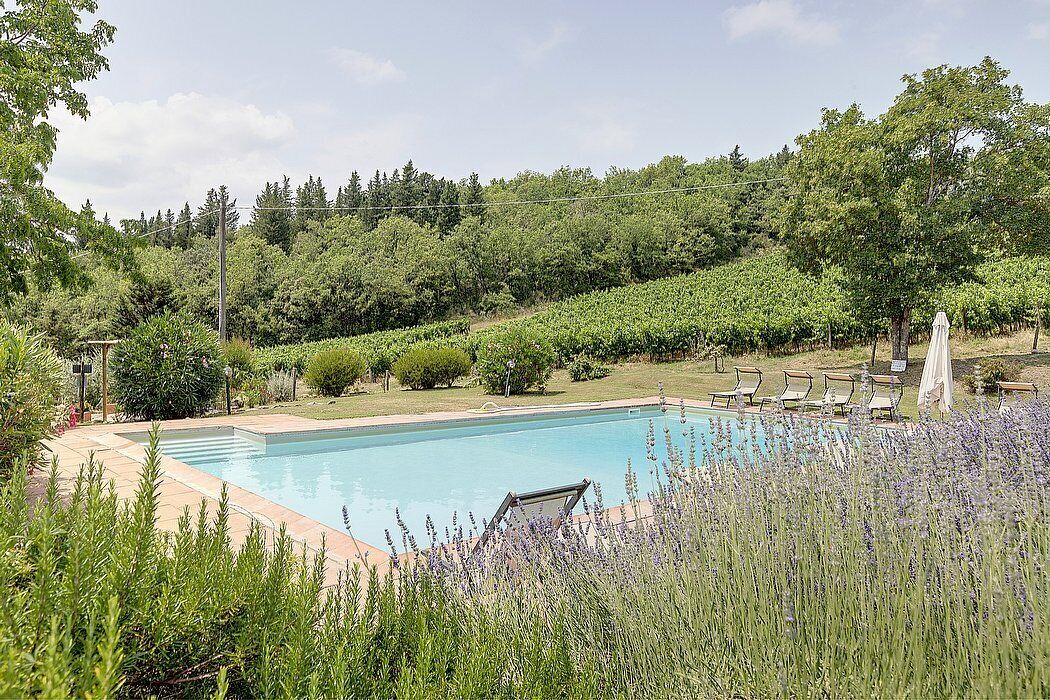 Photo of Outdoor in Pontassieve