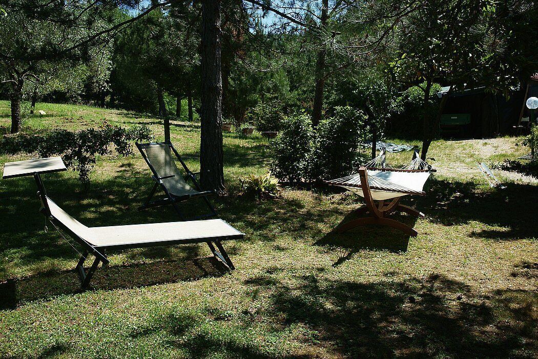 Photo of Outdoor in Pontassieve