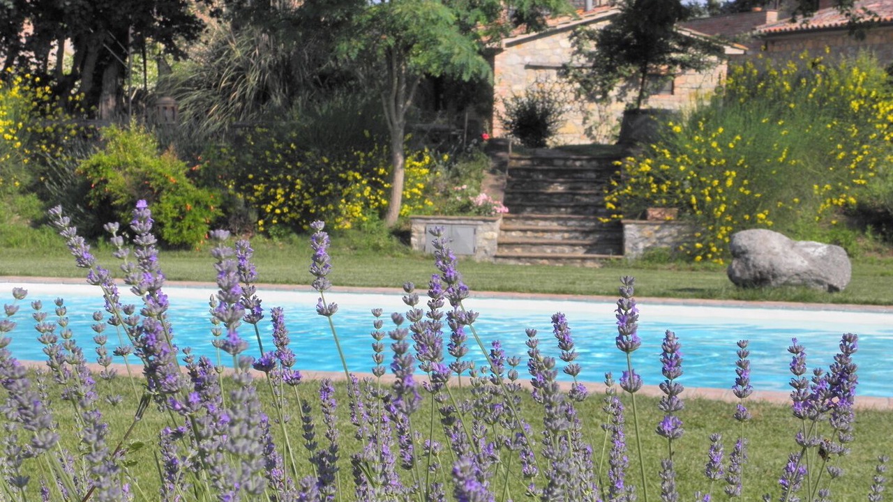 Photo of Outdoor in Monteleone d'Orvieto