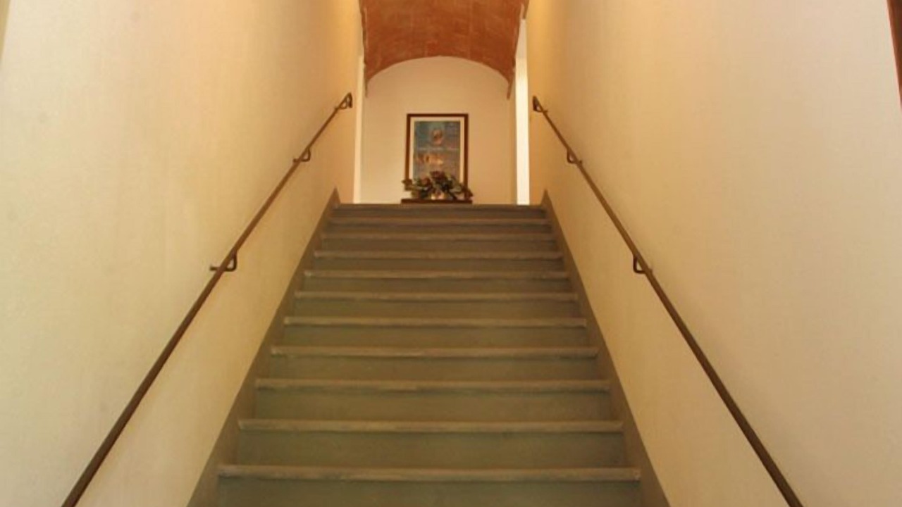 Photo of Others in Terricciola