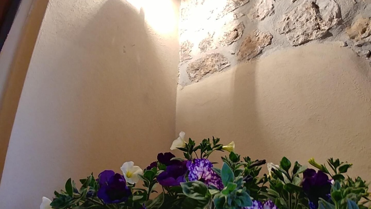 Photo of Others in Alatri