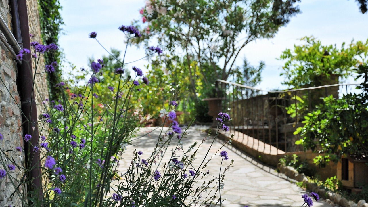 Photo of Outdoor in San Pietro in Bossolo