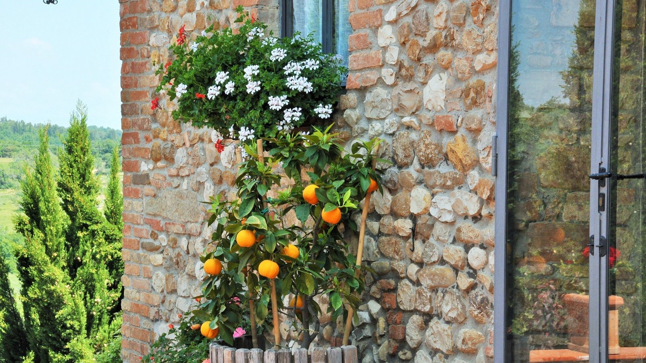 Photo of Outdoor in San Pietro in Bossolo