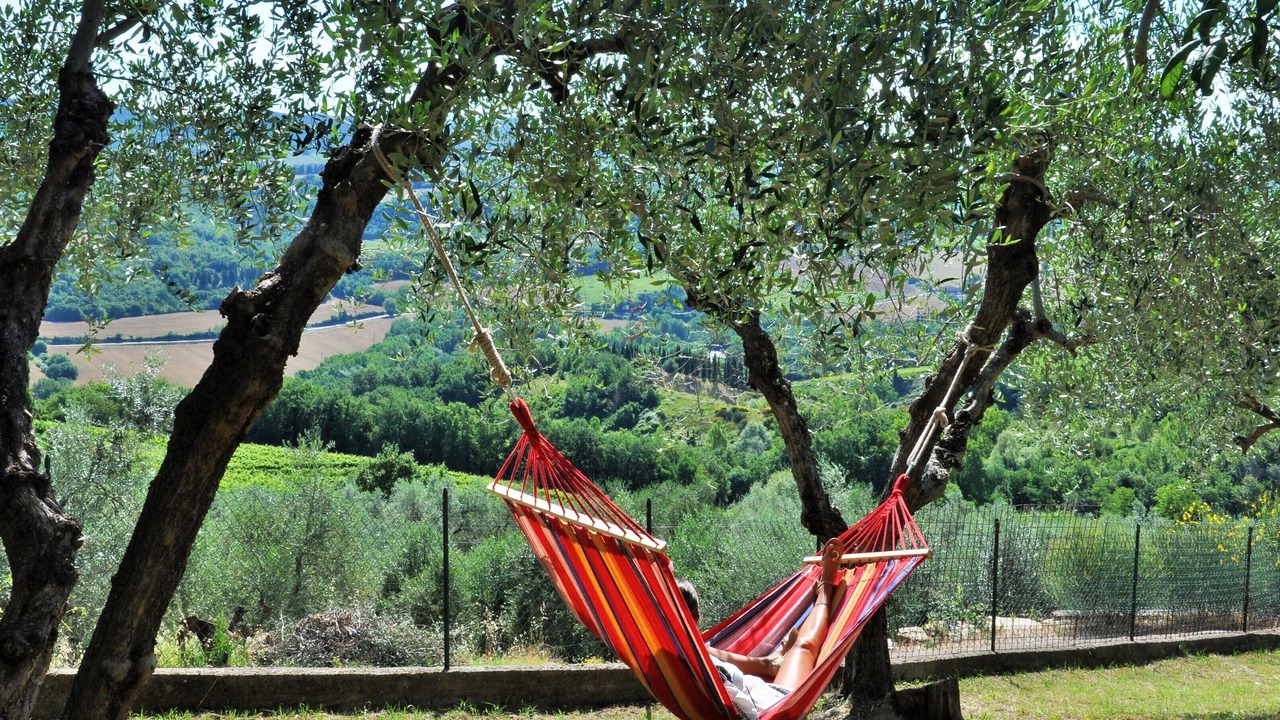 Photo of Outdoor in San Pietro in Bossolo