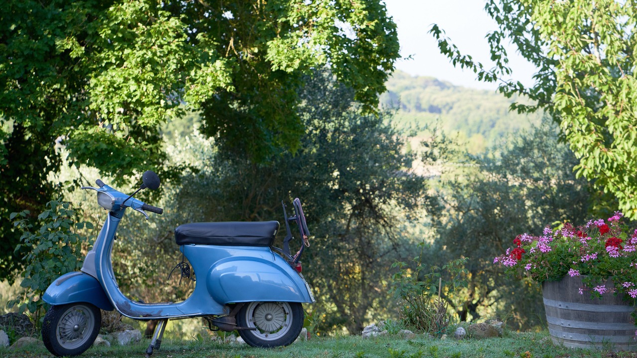 Photo of Outdoor in Bossi