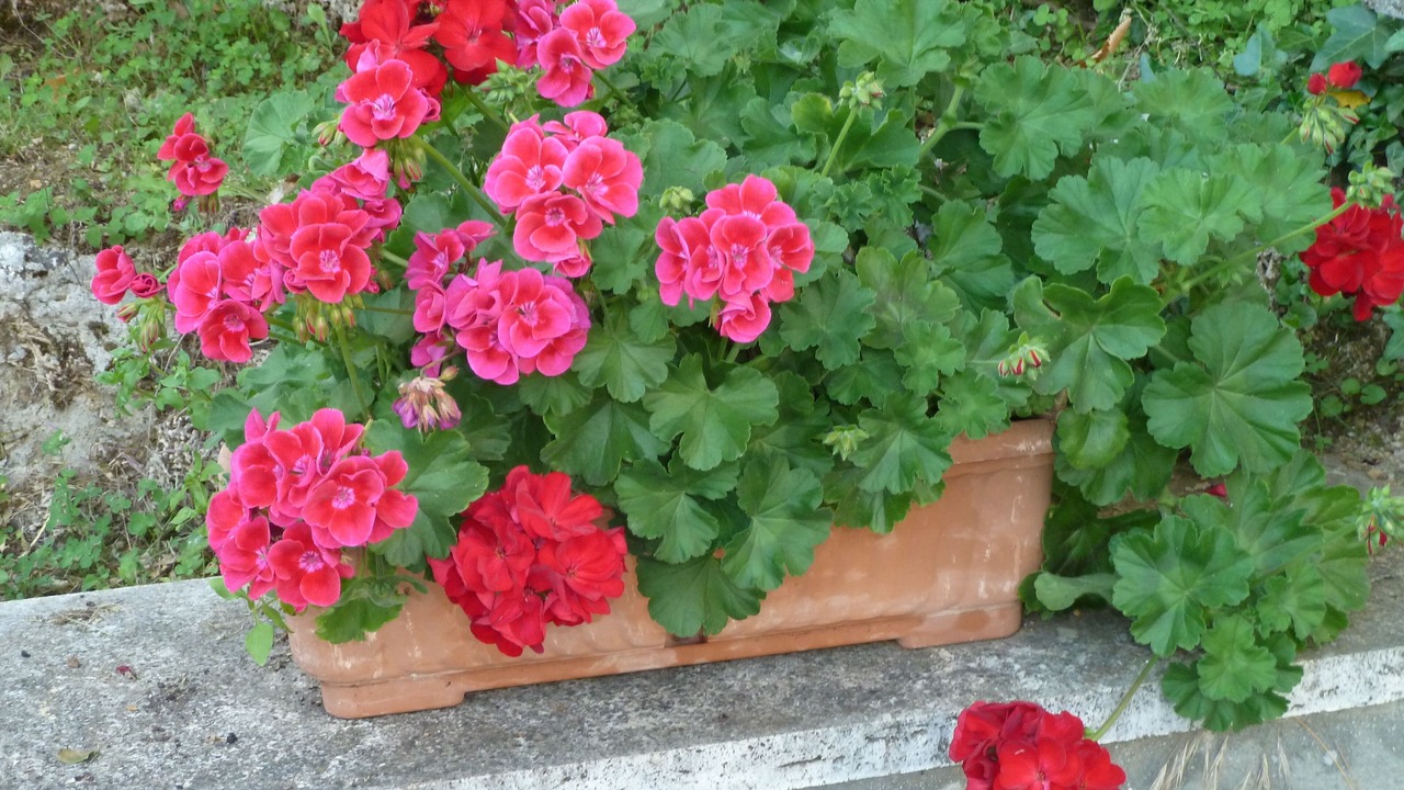 Photo of Outdoor in Serre di Rapolano
