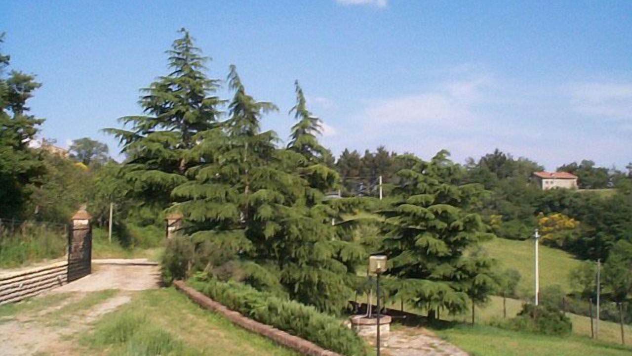 Photo of Outdoor in Acquapendente