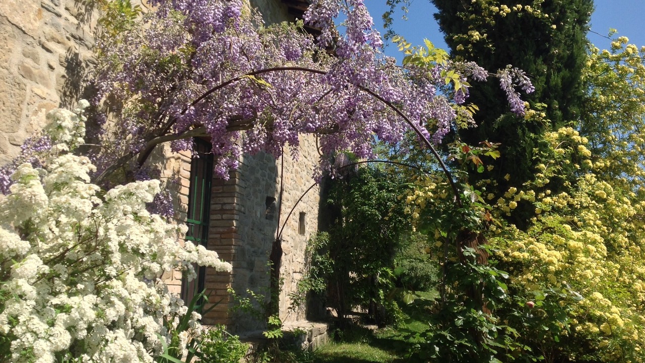 Photo of Outdoor in Assisi