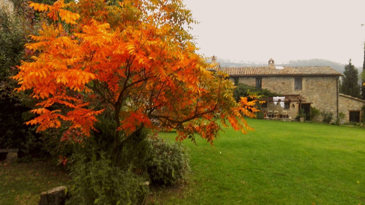 Photo of Outdoor in Assisi