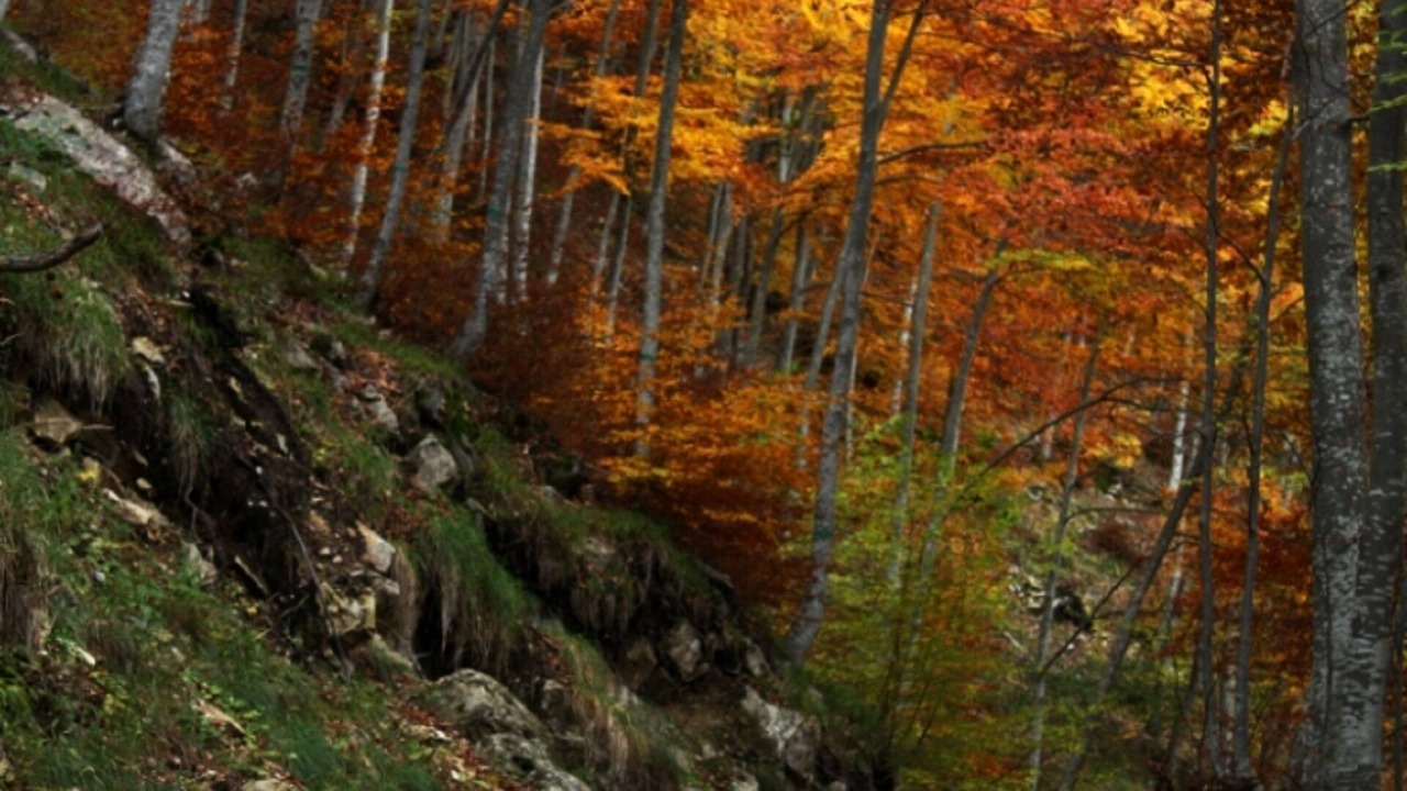 Photo of Others in Caramanico Terme