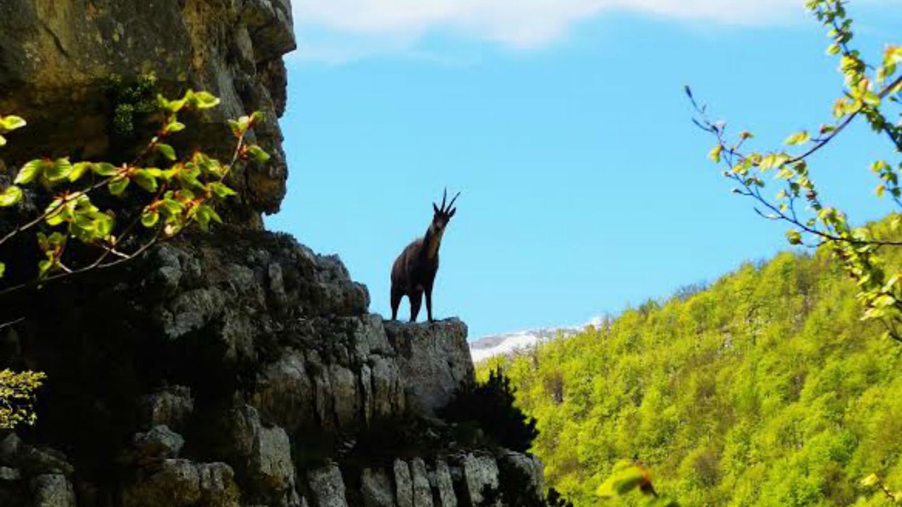 Photo of Others in Caramanico Terme
