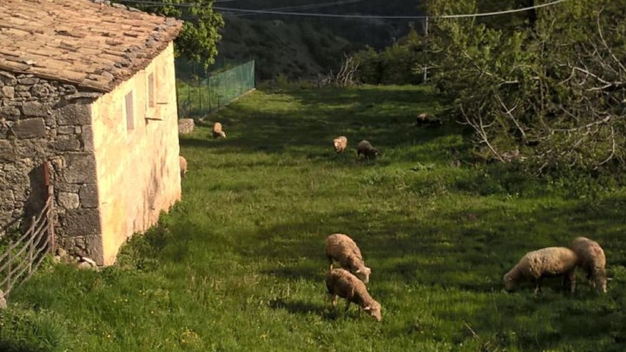 Photo of Others in Caramanico Terme