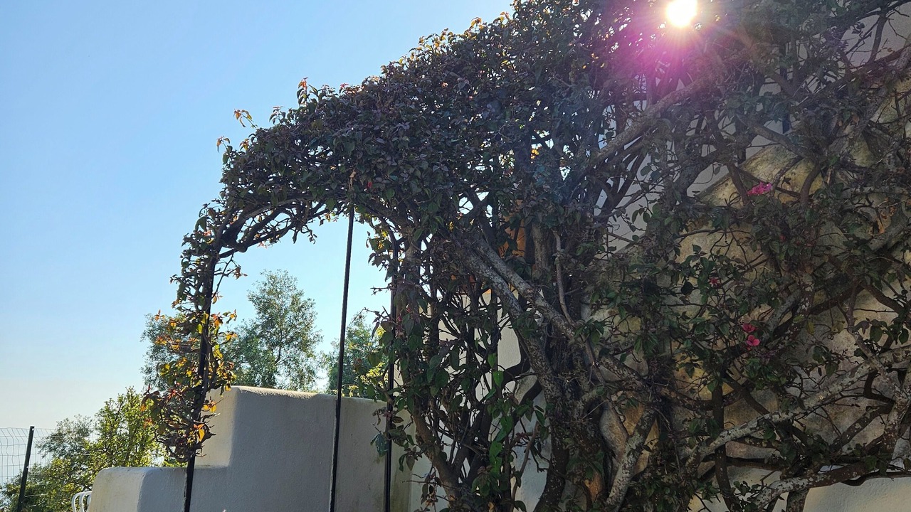 Photo of Outdoor in Casamicciola Terme